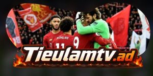 Nhận định Brentford vs Liverpool 21h00 17/10